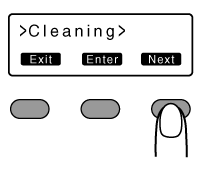 Cleaning_next