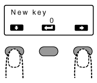 New_key2